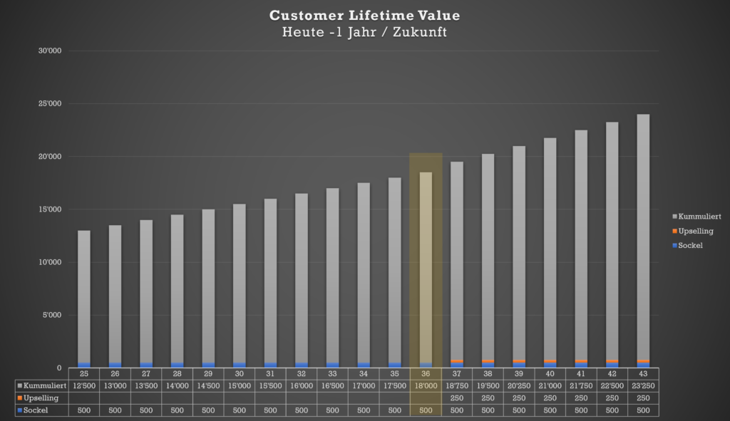 Grafische Darstellung des Customer Lifetime Value